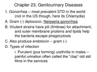  Section 23, Genitourinary Diseases 