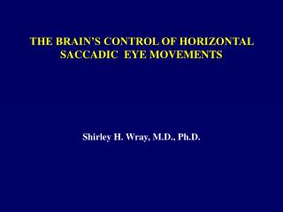  THE BRAIN S CONTROL OF HORIZONTAL SACCADIC EYE MOVEMENTS 