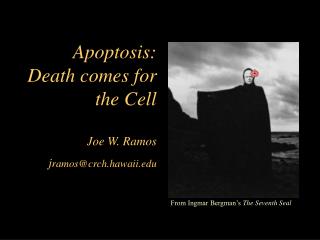  Apoptosis: Death seeks the Cell Joe W. Ramos jramoscrch.hawaii 