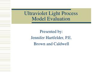  Bright Light Process Model Evaluation 