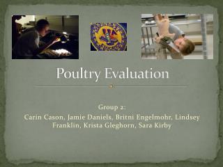  Poultry Evaluation 