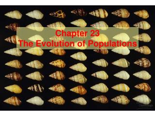  Part 23 The Evolution of Populations 
