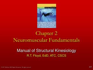  Section 2 Neuromuscular Fundamentals 