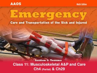  Class 11: Musculoskeletal AP and Care Ch4 Partial Ch29 