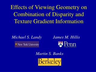  Impacts of Viewing Geometry on Combination of Disparity and Texture Gradient Information 
