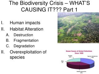  The Biodiversity Crisis 