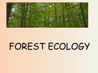  Timberland ECOLOGY 