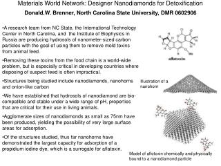  Materials World Network: Designer Nanodiamonds for Detoxification Donald.W. Brenner, North Carolina State University, D
