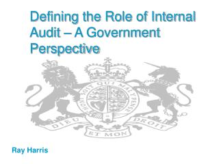  Characterizing the Role of Internal Audit A Government Perspective 