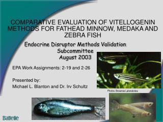 Endocrine Disruptor Methods Validation Subcommittee August 2003 
