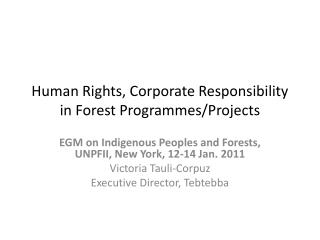  Human Rights, Corporate Responsibility in Forest Programs 