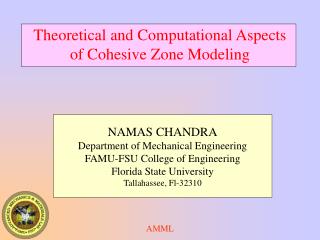  Hypothetical and Computational Aspects of Cohesive Zone Modeling 