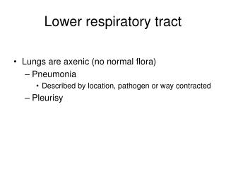  Lower respiratory tract 