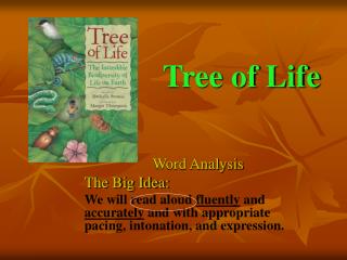  Tree of Life 