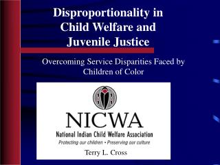  Disproportionality in Child Welfare and Juvenile Justice 