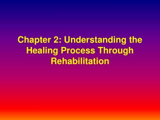  Part 2: Understanding the Healing Process Through Rehabilitation 
