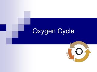  Oxygen Cycle 