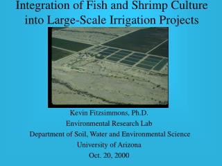  Coordination of Fish and Shrimp Culture into Large-Scale Irrigation Projects 