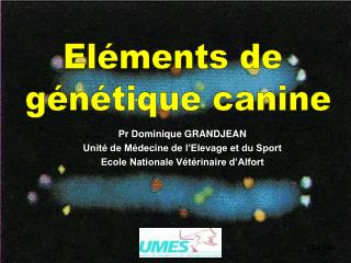  Pr Dominique GRANDJEAN Unit de M decine de l Elevage et du Sport Ecole Nationale V t rinaire d Alfort 