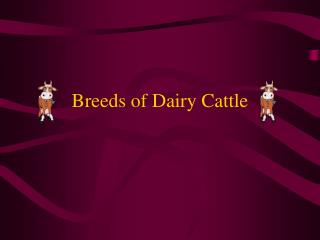  Types of Dairy Cattle 