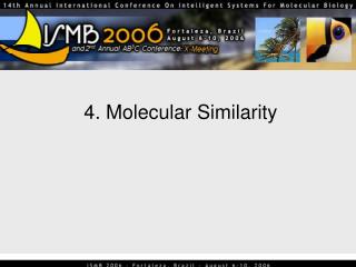  4. Sub-atomic Similarity 