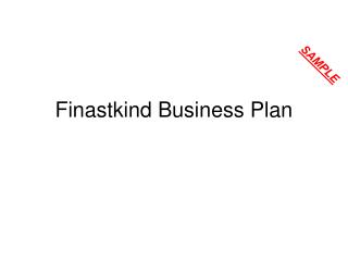  Finastkind Business Plan 