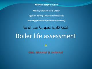  World Energy Council Ministry Of Electricity Energy Egyptian Holding Company For Electricity Upper Egypt Electricit 