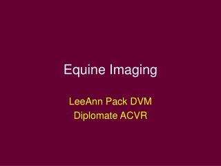  Equine Imaging 
