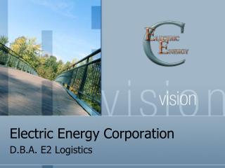  Electric Energy Corporation 