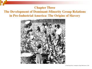  Part Three The Development of Dominant-Minority Group Relations in Pre-Industrial America: The Origins of Slavery 