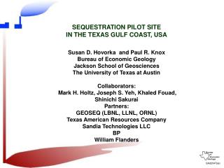  SEQUESTRATION PILOT SITE IN THE TEXAS GULF COAST, USA 