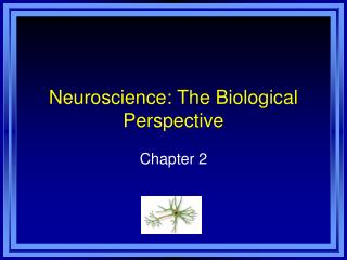  Neuroscience: The Biological Perspective 