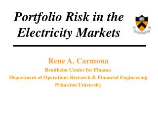  Portfolio Risk in the Electricity Markets 