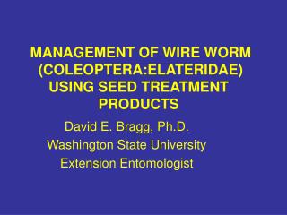  Administration OF WIRE WORM COLEOPTERA:ELATERIDAE USING SEED TREATMENT PRODUCTS 