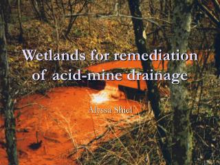  Wetlands for remediation of corrosive mine seepage 