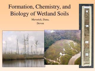  Arrangement, Chemistry, and Biology of Wetland Soils 