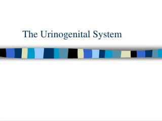  The Urinogenital System 