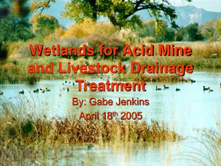  Wetlands for Acid Mine and Livestock Drainage Treatment 
