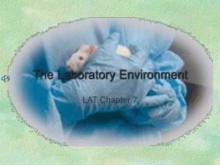  The Laboratory Environment 