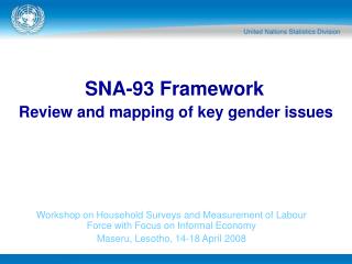  SNA-93 Framework 