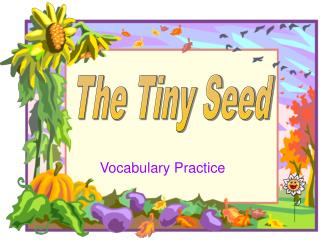  Vocabulary Practice 