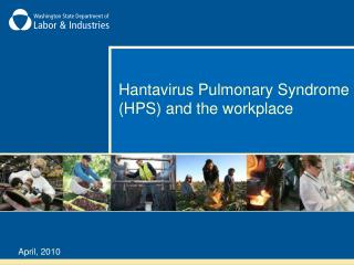  Hantavirus Pulmonary Syndrome HPS and the working environment 