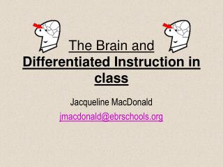  The Brain and Differentiated Instruction in class 
