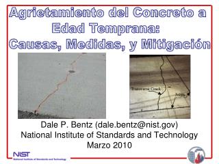  Dale P. Bentz dale.bentznist.gov National Institute of Standards and Technology Marzo 2010 