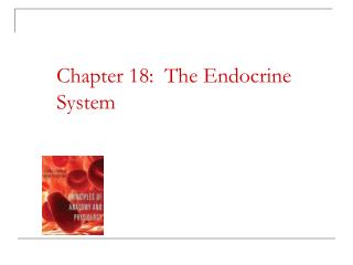  Section 18: The Endocrine System 