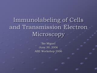  Immunolabeling of Cells and Transmission Electron Microscopy 