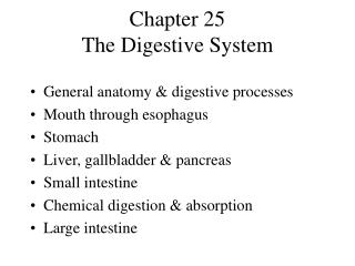  Section 25 The Digestive System 