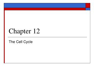  The Cell Cycle 