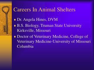  Professions In Animal Shelters 