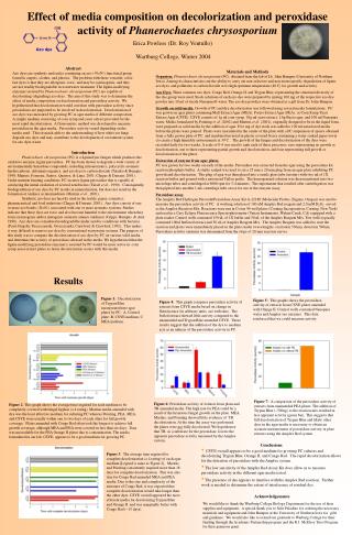  Impact of media creation on decolorization and peroxidase action of Phanerochaetes chrysosporium 